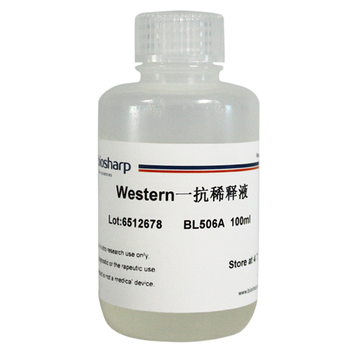 Western一抗稀释液 biosharp实验室专用